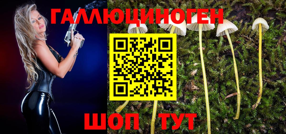 Галлюциногенные грибы мухоморы  Вход с VPN  Кольчугино 